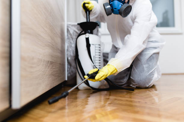 Best Exterminator Services  in South Beloit, IL