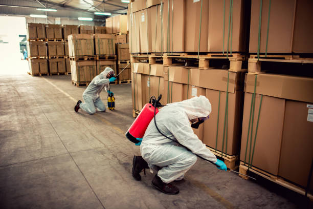 Best Best Pest Control Near Me  in South Beloit, IL