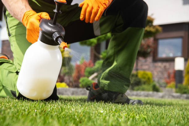 Best Affordable Pest Control Services  in South Beloit, IL