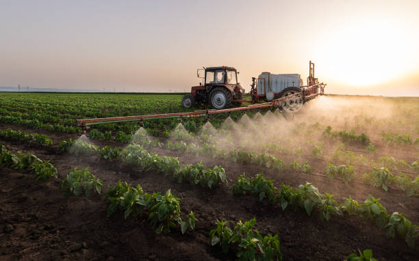 Pest Prevention Services in South Beloit, IL