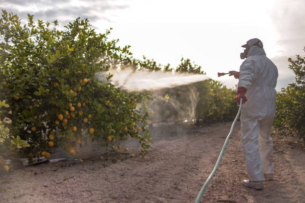 Best Affordable Pest Control Services  in South Beloit, IL
