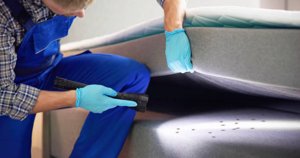 Best Pest Control Cost  in South Beloit, IL