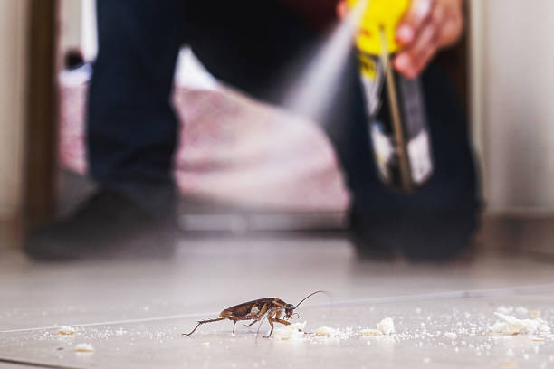 Best Pest Control Near Me  in South Beloit, IL
