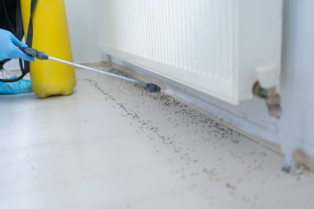 Best Pest Inspection Near Me  in South Beloit, IL